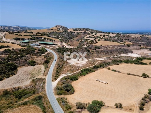 Livestock Field in Chrysochous, Paphos