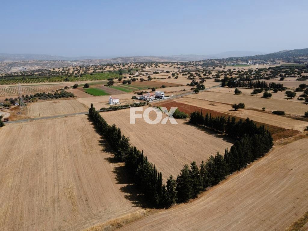 Residential field in Kouklia , Paphos District (share)