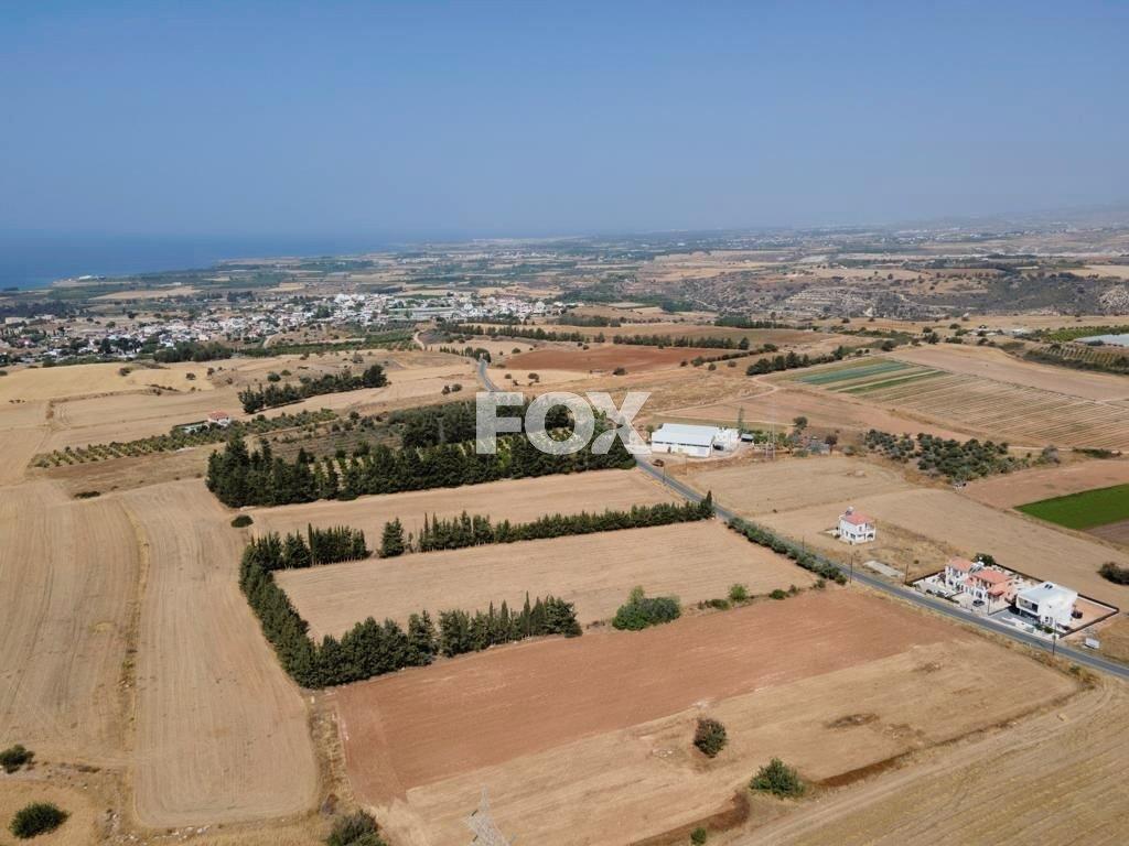 Residential field in Kouklia , Paphos District (share)