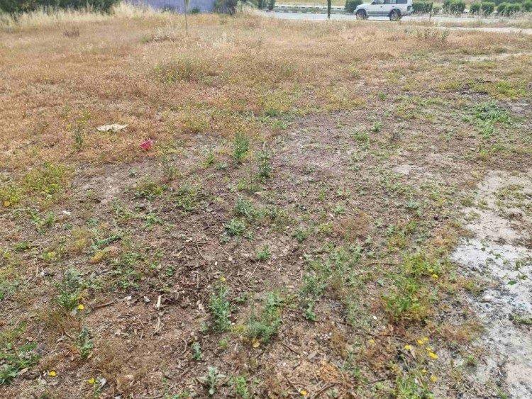 Plot For Sale In Agios Theodoros Paphos Cyprus