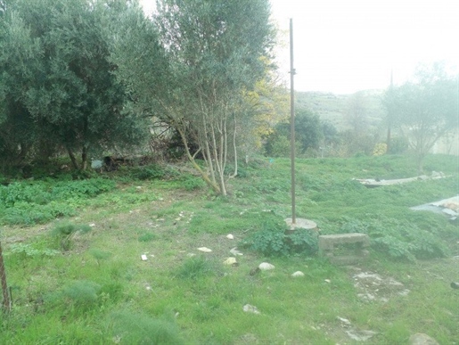 Terrain à vendre à Episcopi, Paphos, Chypre