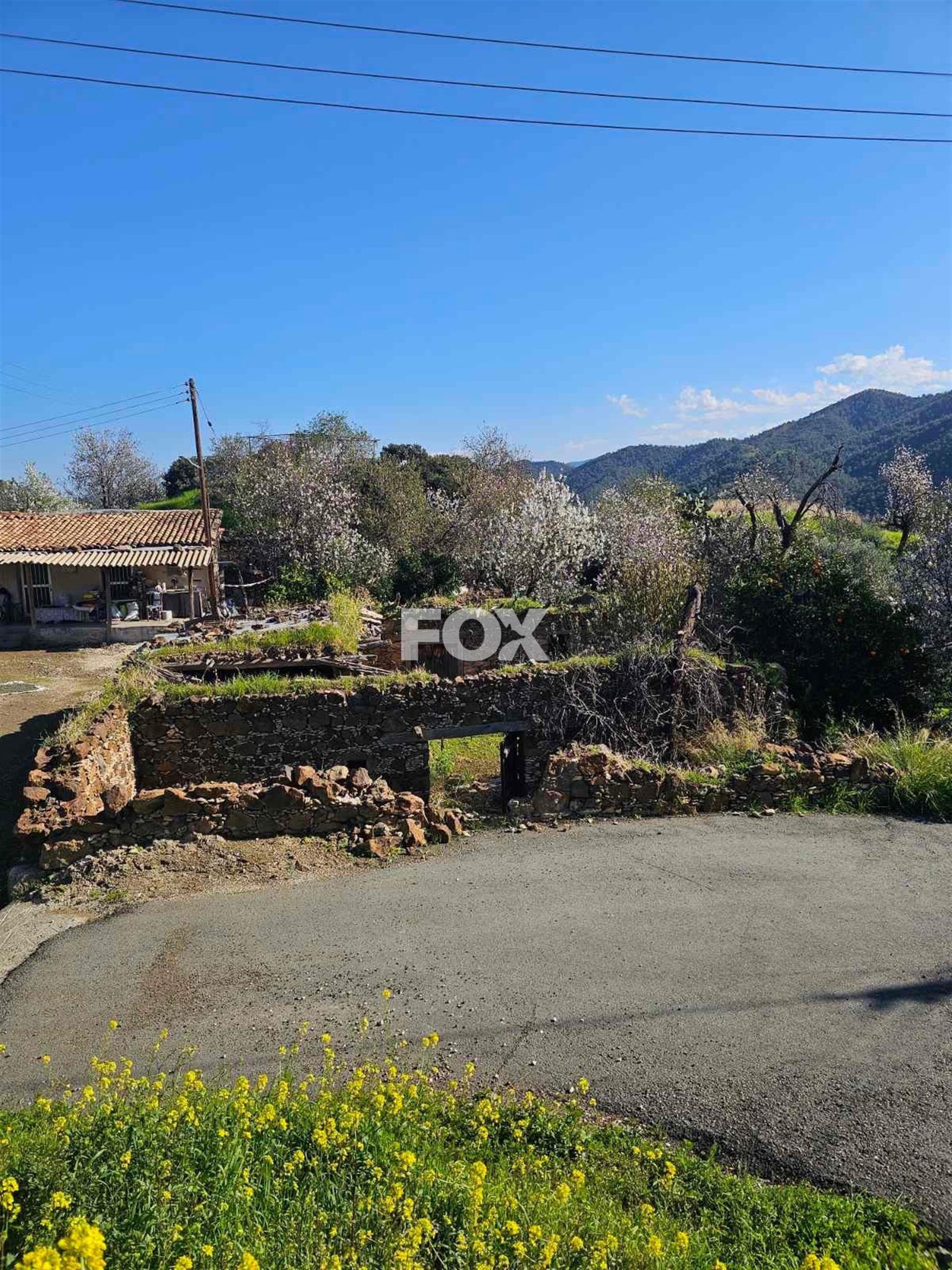 Residential Land in Pigenia - Pyrgos Tillirias area