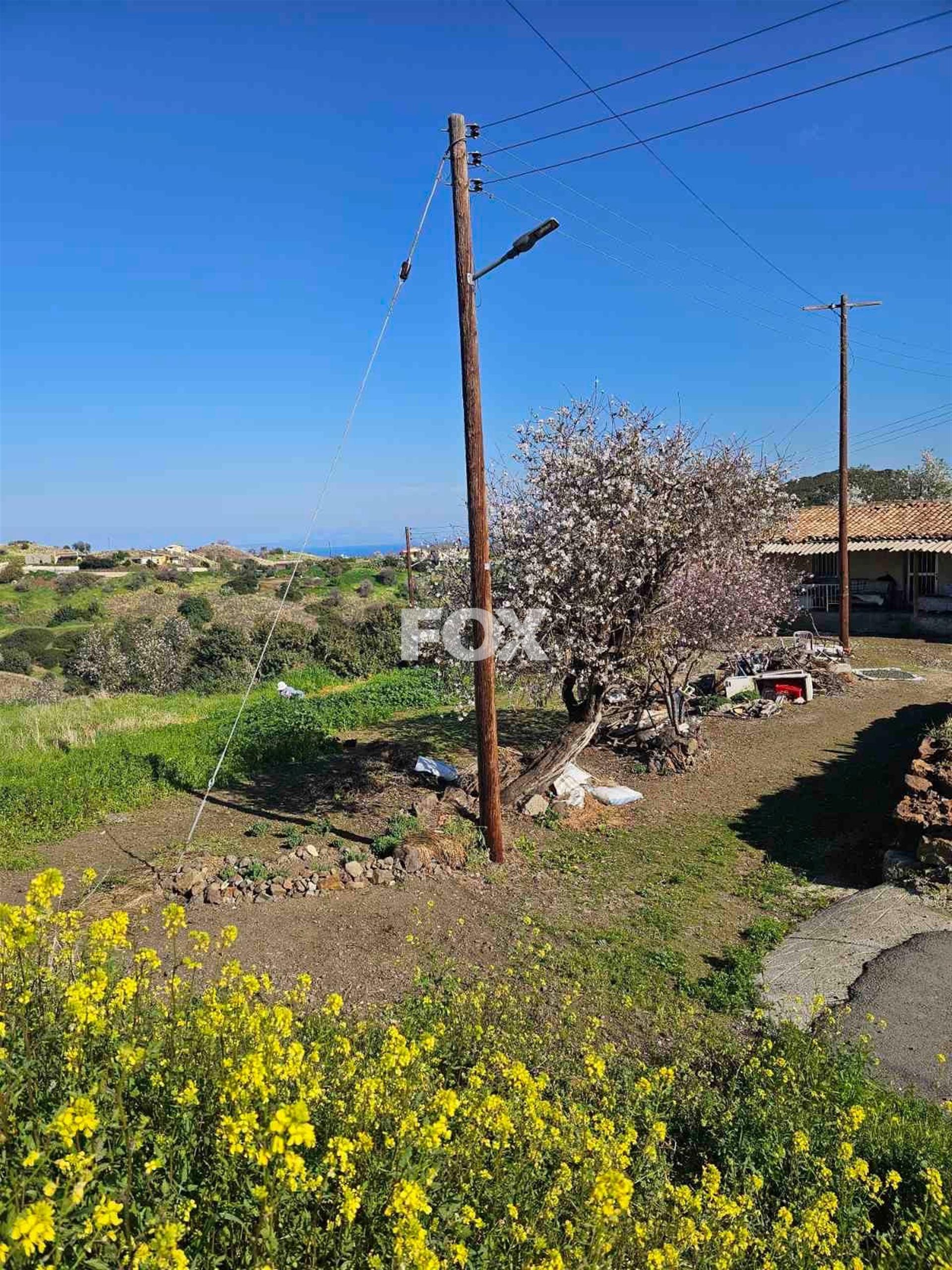 Residential Land in Pigenia - Pyrgos Tillirias area