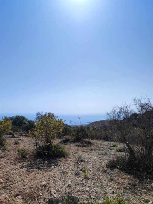 Land For Sale In Koili Paphos Cyprus