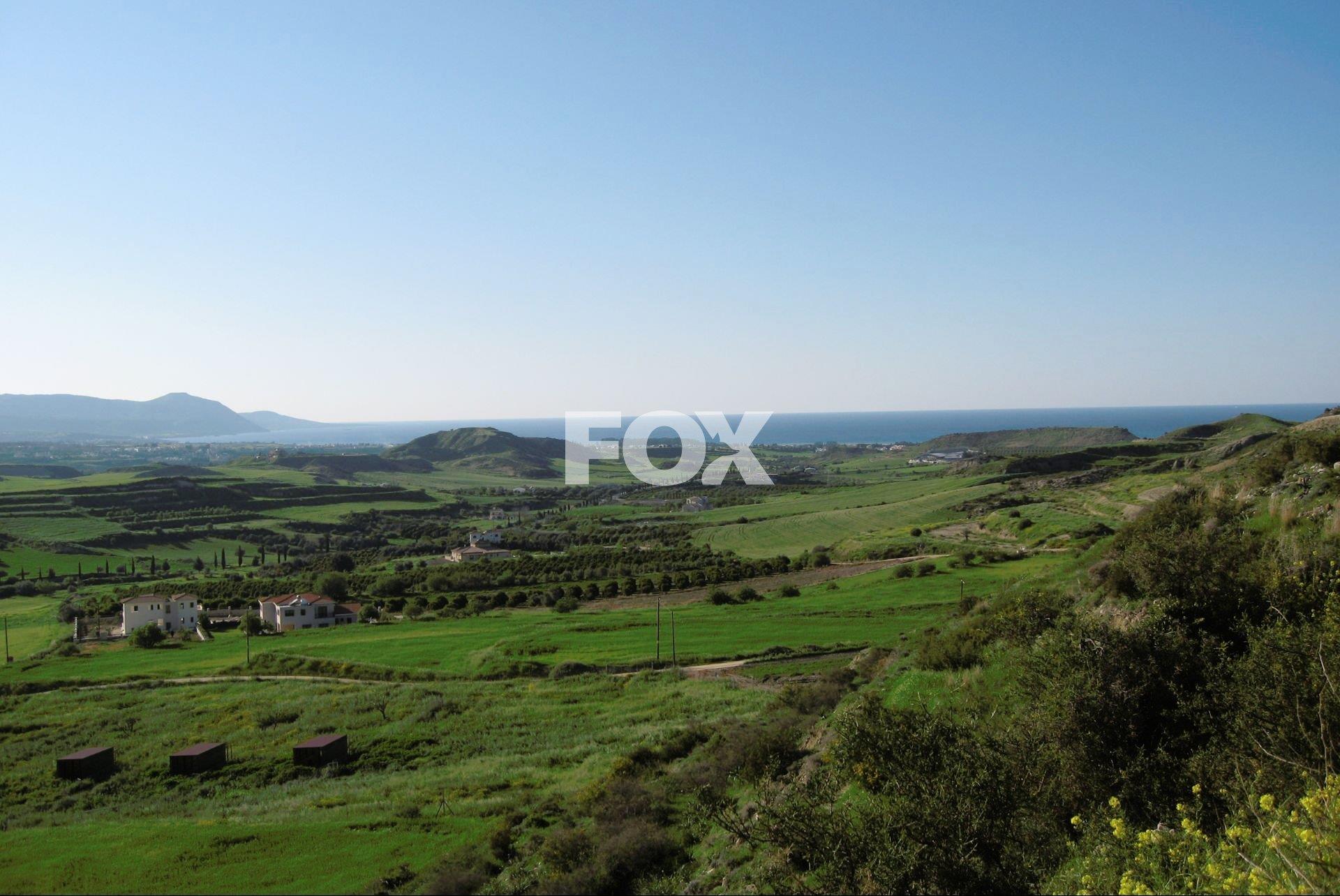 Two Agricultural lands in Steni , Paphos