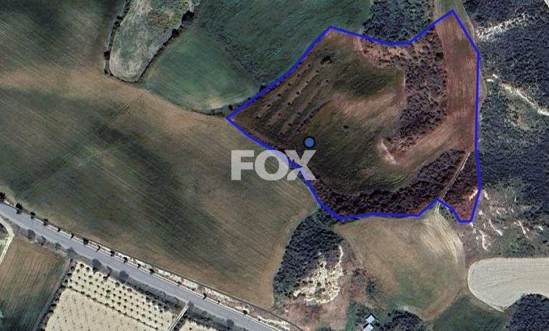 Two Agricultural lands in Steni , Paphos