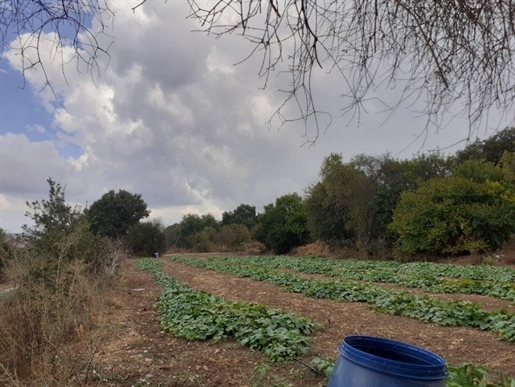 Terrains à vendre à Polemi, Paphos, Chypre