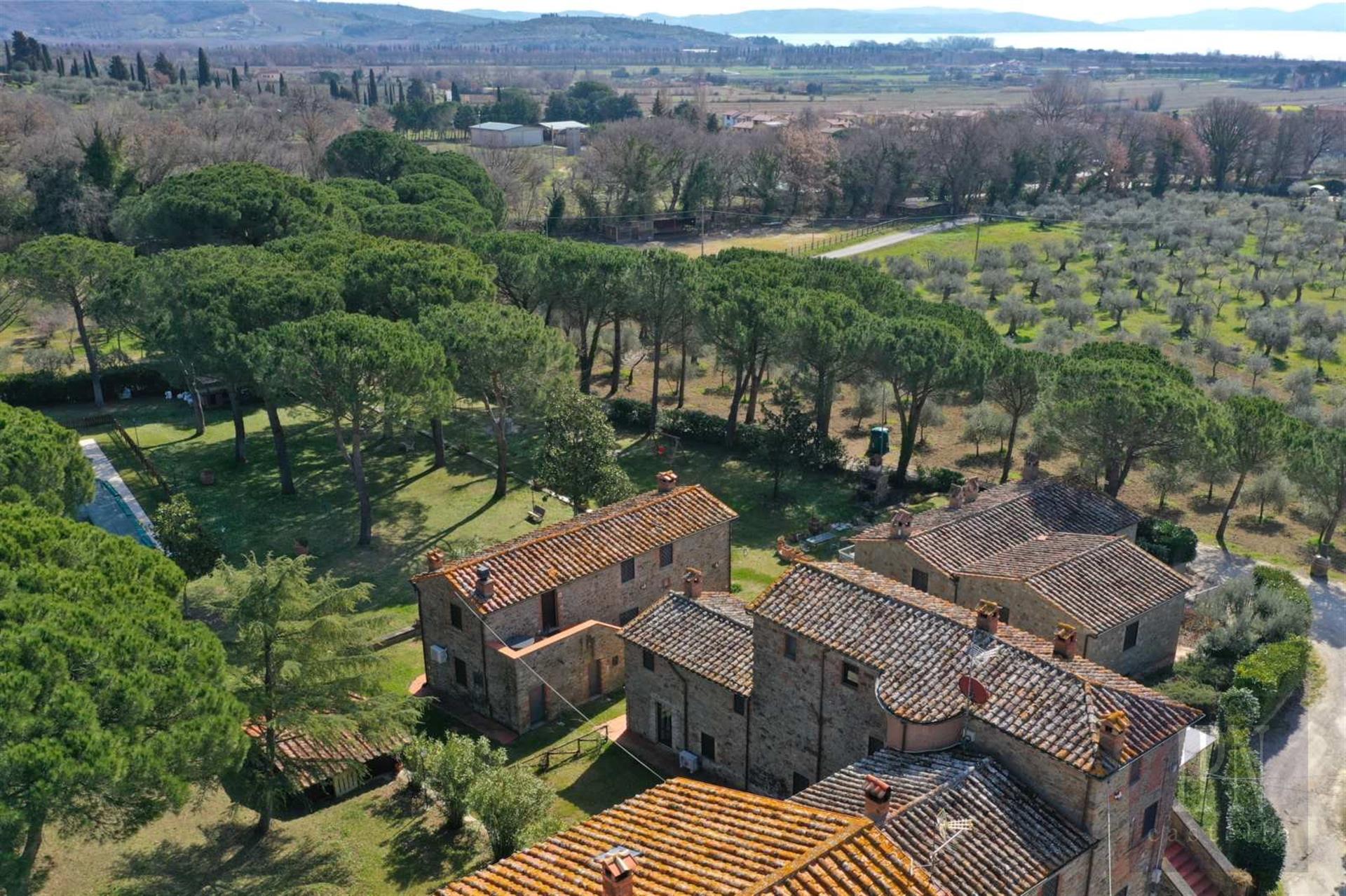 Borgo del Vino