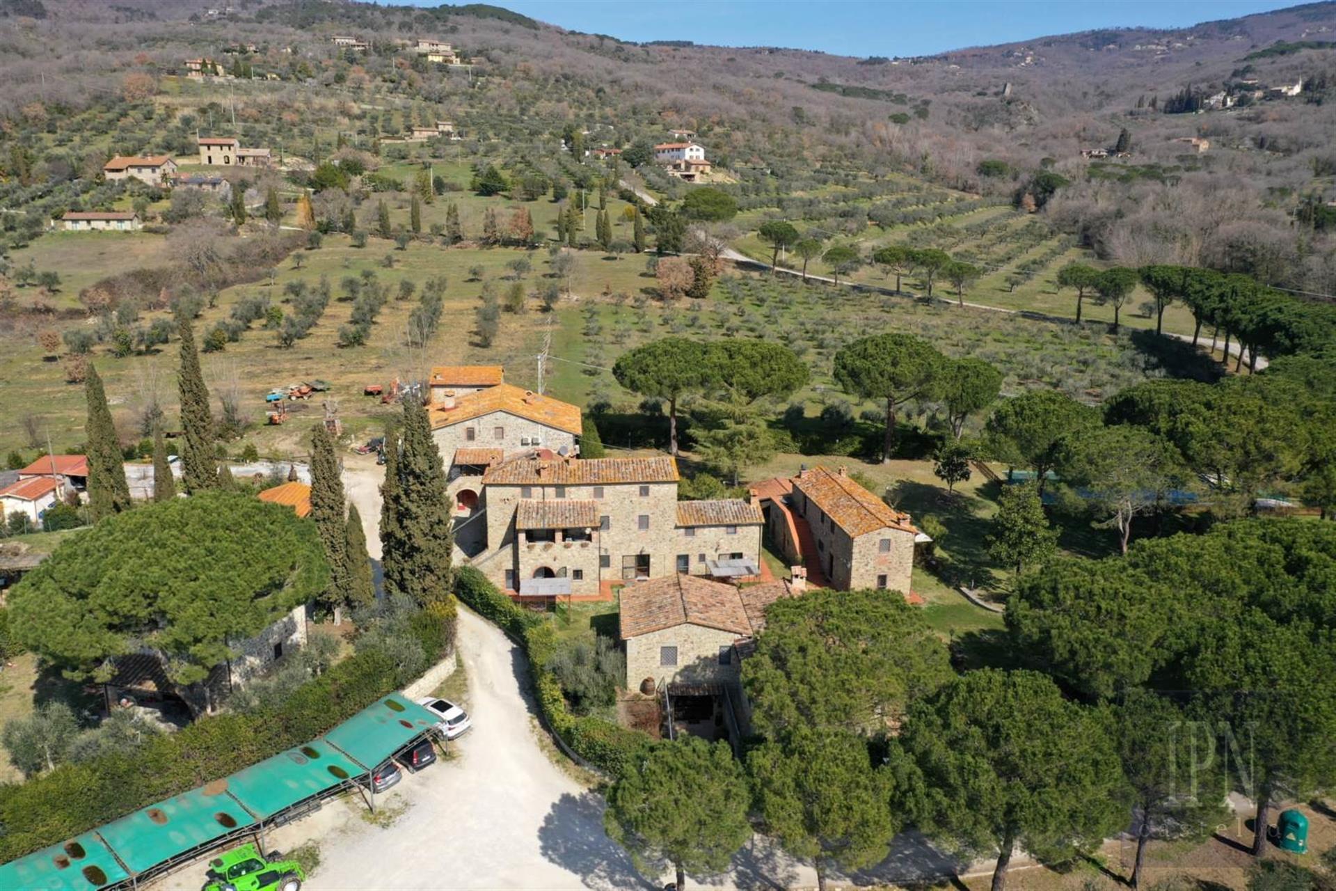 Borgo del Vino