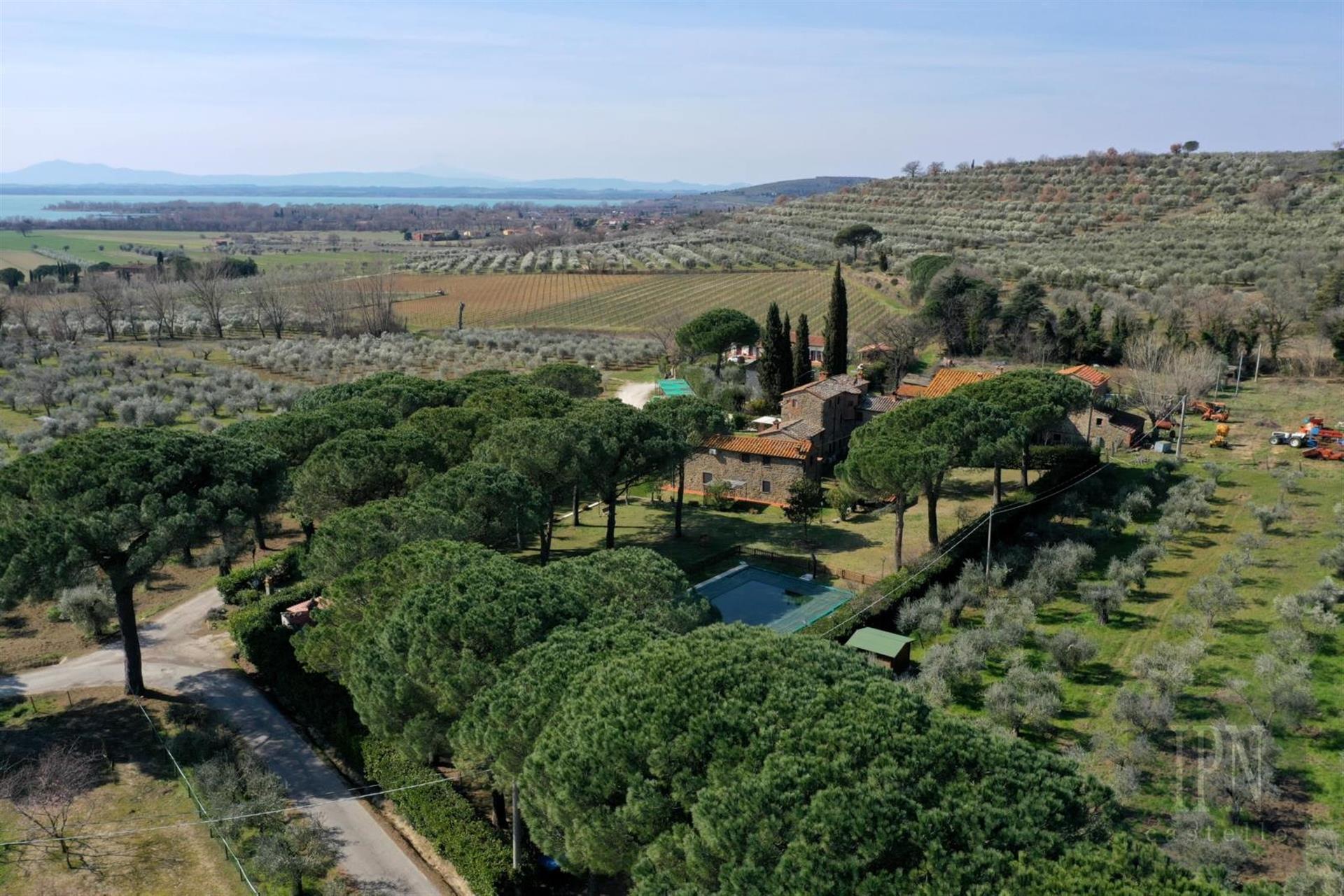 Borgo del Vino