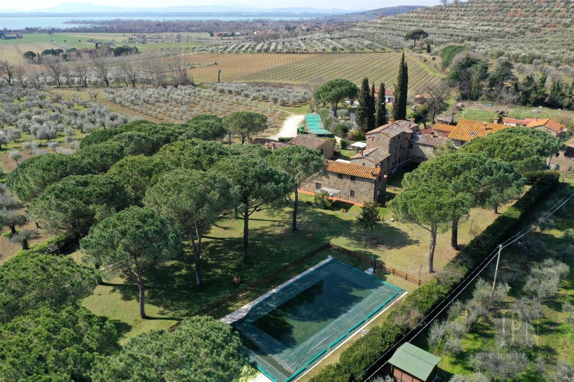 Borgo del Vino