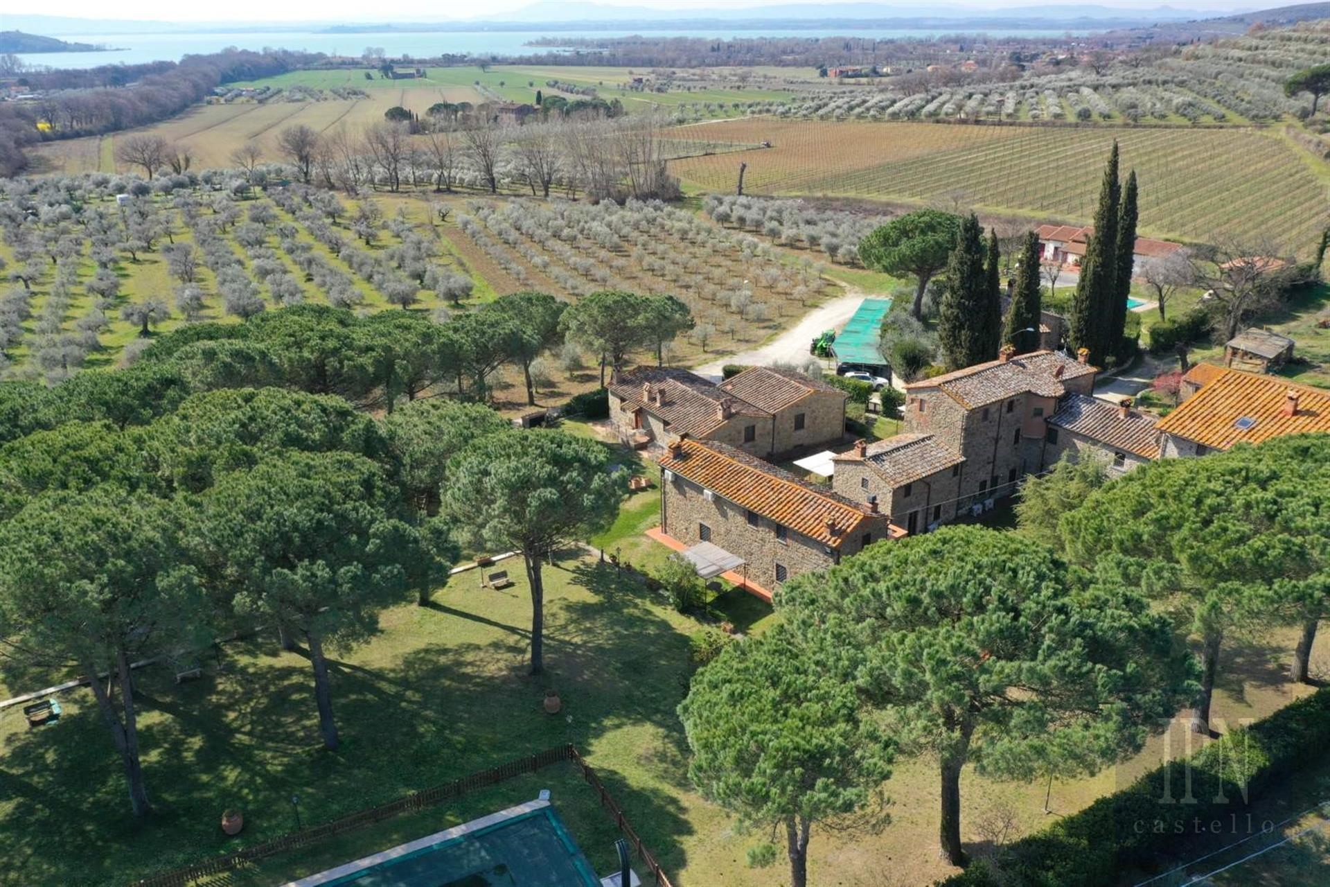 Borgo del Vino