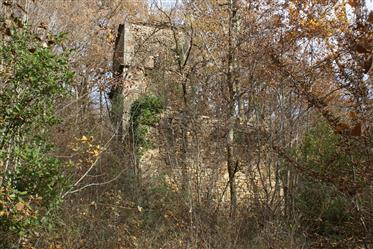 Grundstück von 1 ha mit Taubenschlag in einem Naturgebiet mitten im Wald.