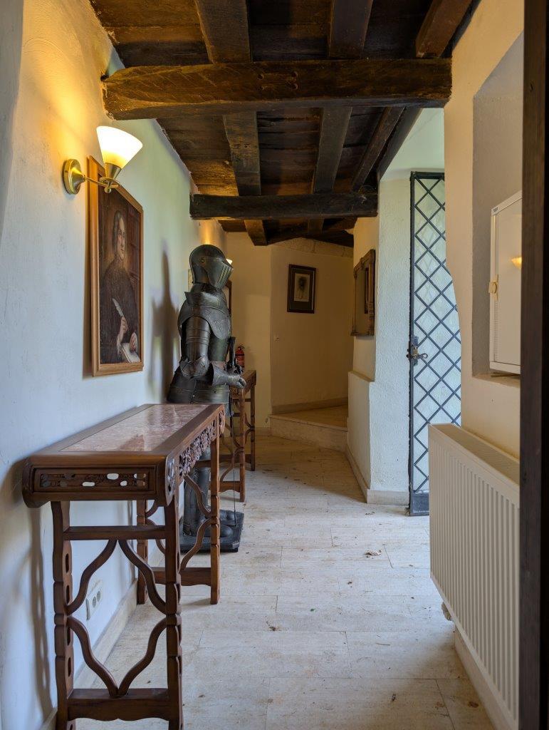 Castle + Renovated Barn in Cassagne