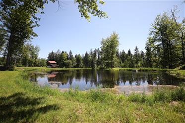 Magnificent natural property with 2 chalets, ponds and 10 ha of land