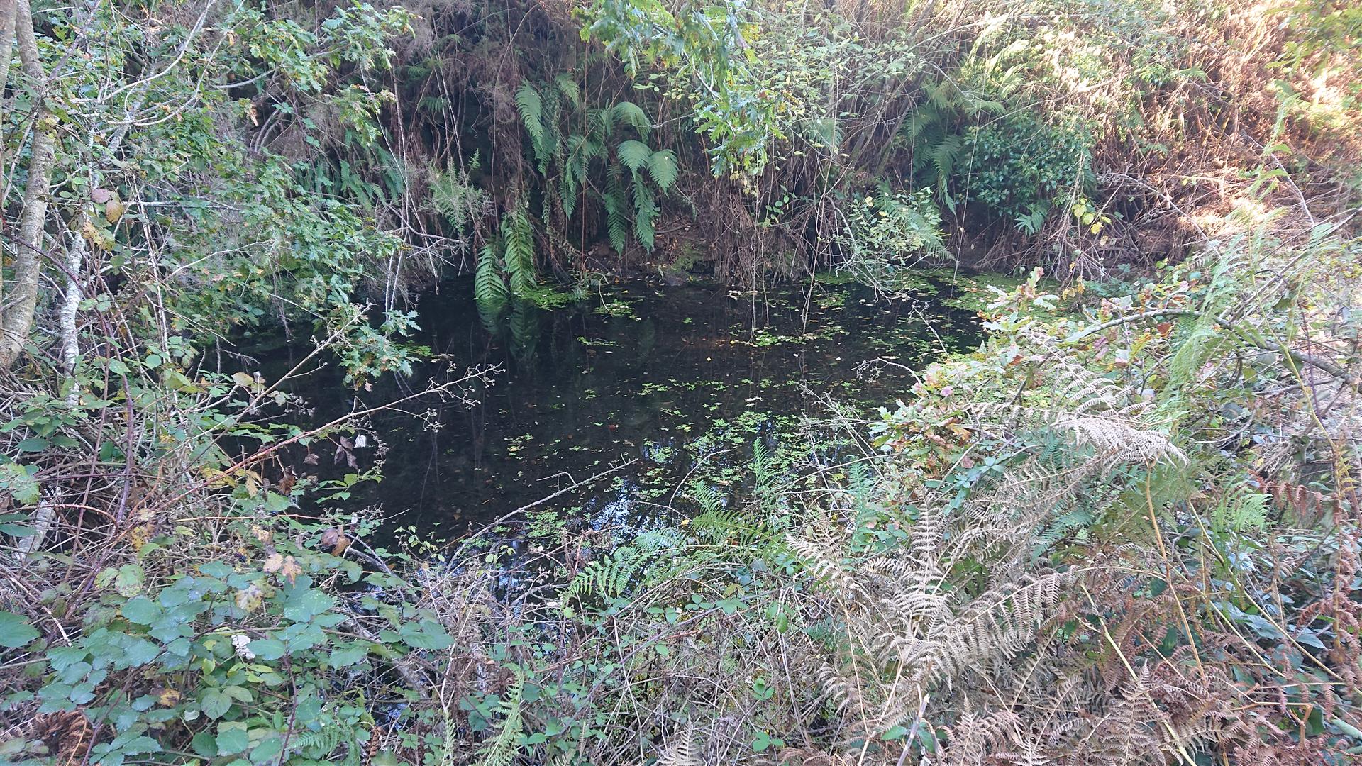 Propriété historique exceptionnelle : Casa da Oxa et domaine rustique serein