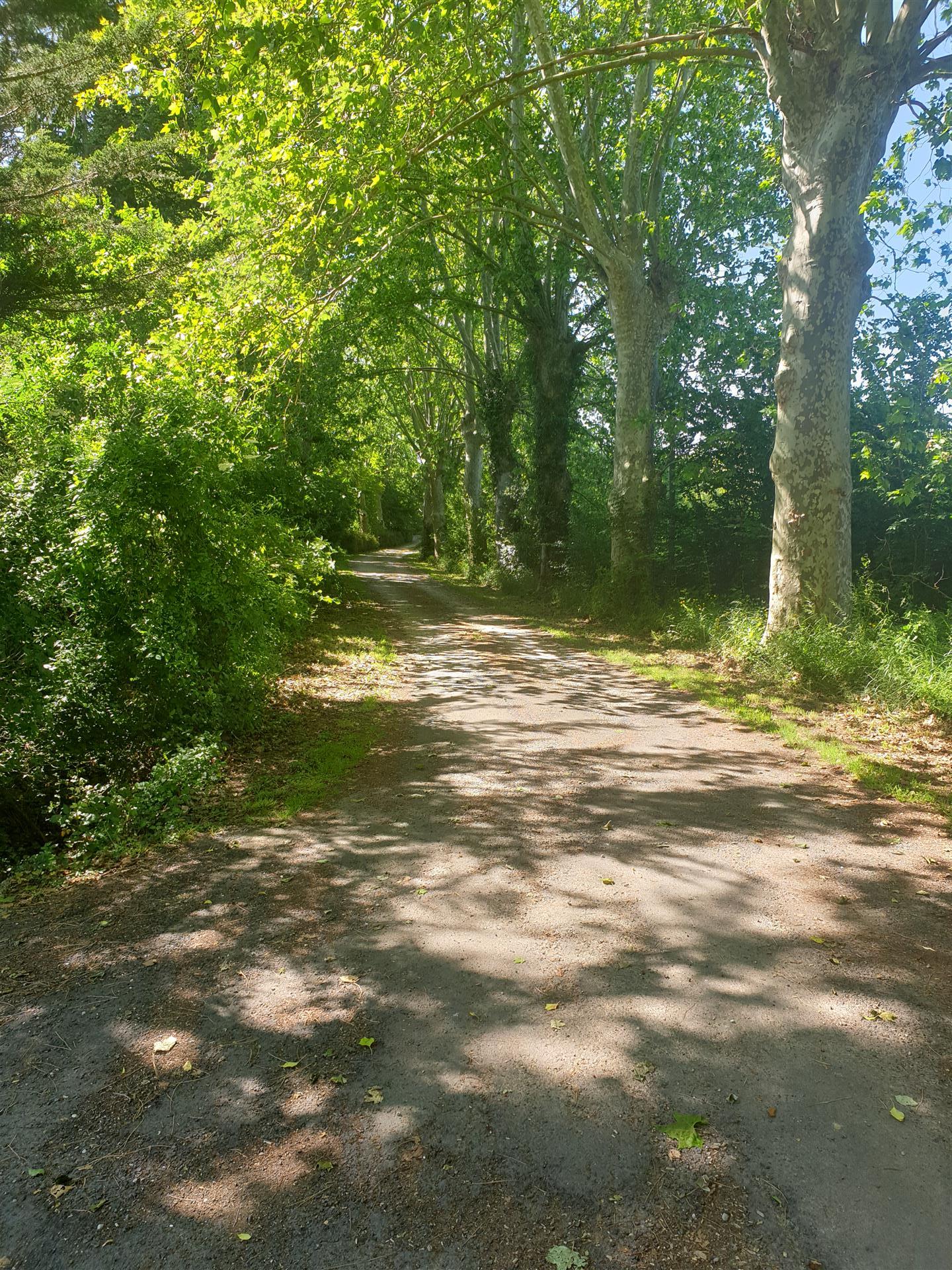 Large Domain of 3 beautiful properties