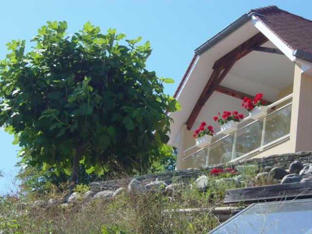 Villa on the slopes of Jurançon