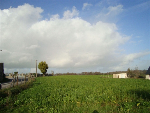 Advert picture