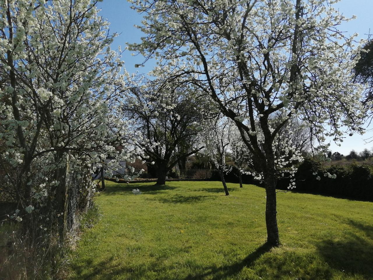 Premium Family Home-4 dormitoare-vedere Ouitstanding - 12 hectare (10 închiriate)