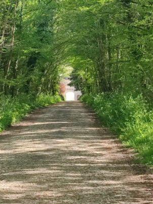 Château avec 43ha de bois, 6ha de prairies et un beau jardin