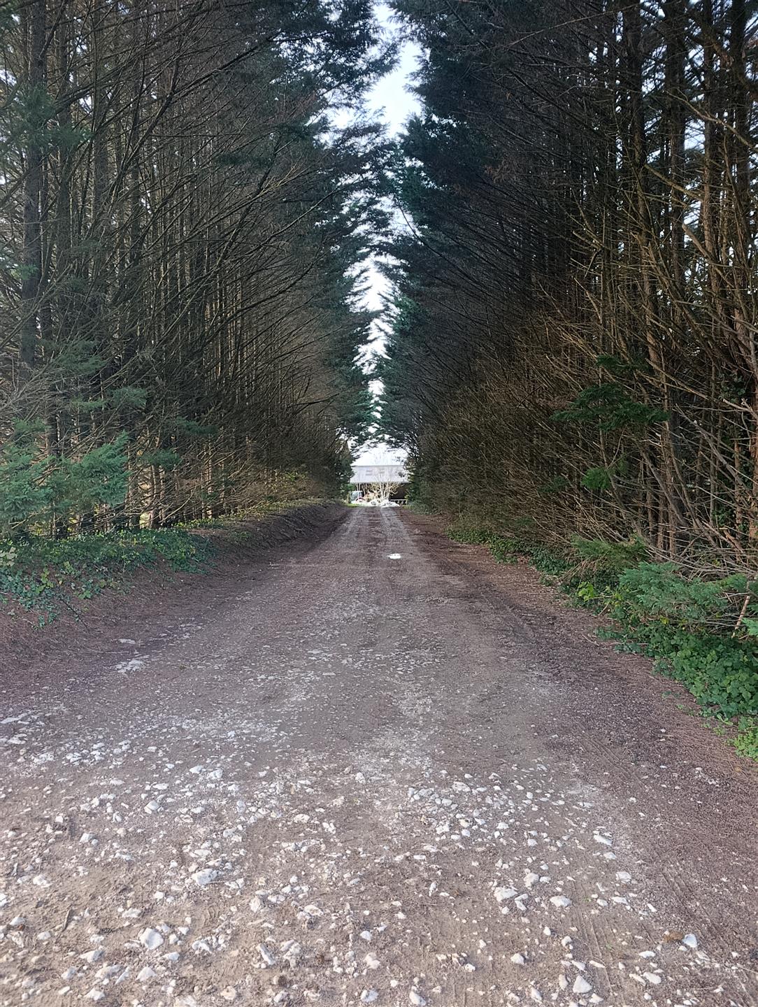 Maison à vendre, 120m², Saint-Martin-le-Pin