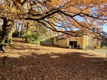 Converted barn with two gites, two swimming pools and 4.3ha  near Beaumont-du-Périgord, Dordogne