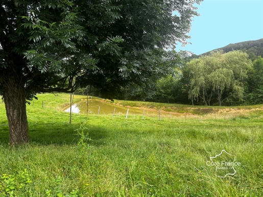 Te koop, een oude boerderij uit de Auvergne met een woonhuis van circa 180 m2 (deels gerenoveerd!),