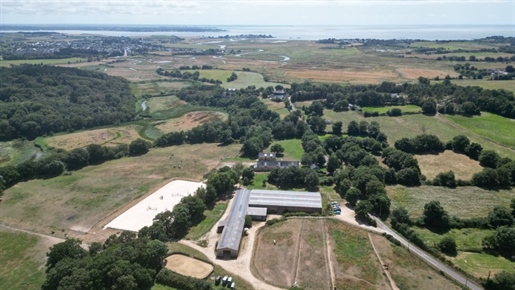 Hippisch eigendom 23 hectare - 19 boxen - manege - Steengroeve