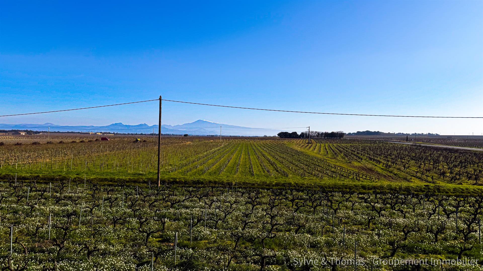 Orange, Gres district, 91m2 house with outbuildings on 1990m2