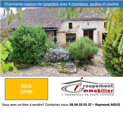 Antigua casa de piedra con casa rural y piscina - 24610 Minzac