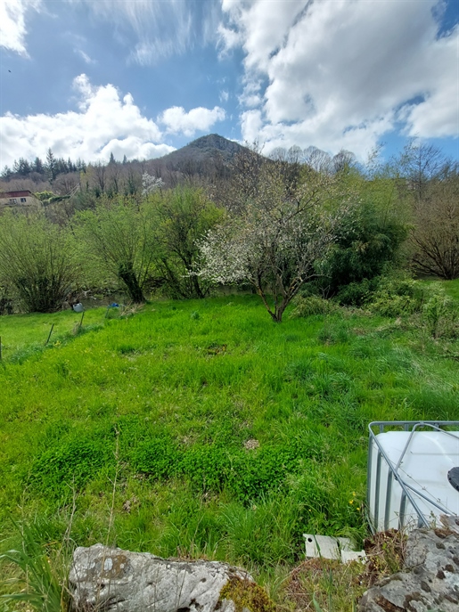 House with garden