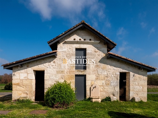 Purchase: Luxury property (33126)