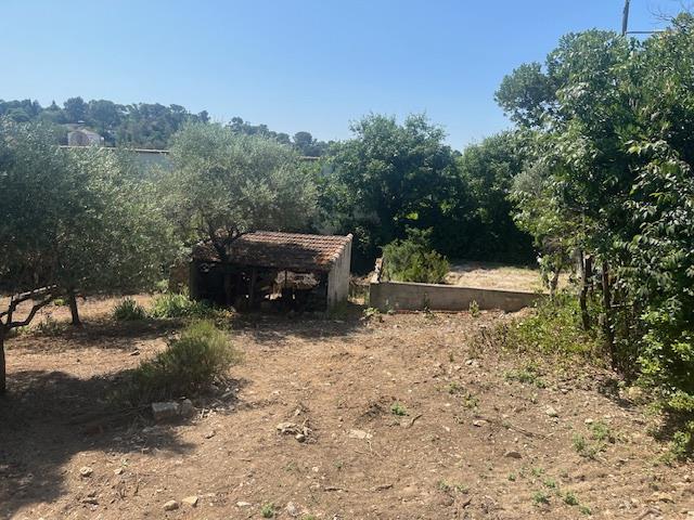 Building land