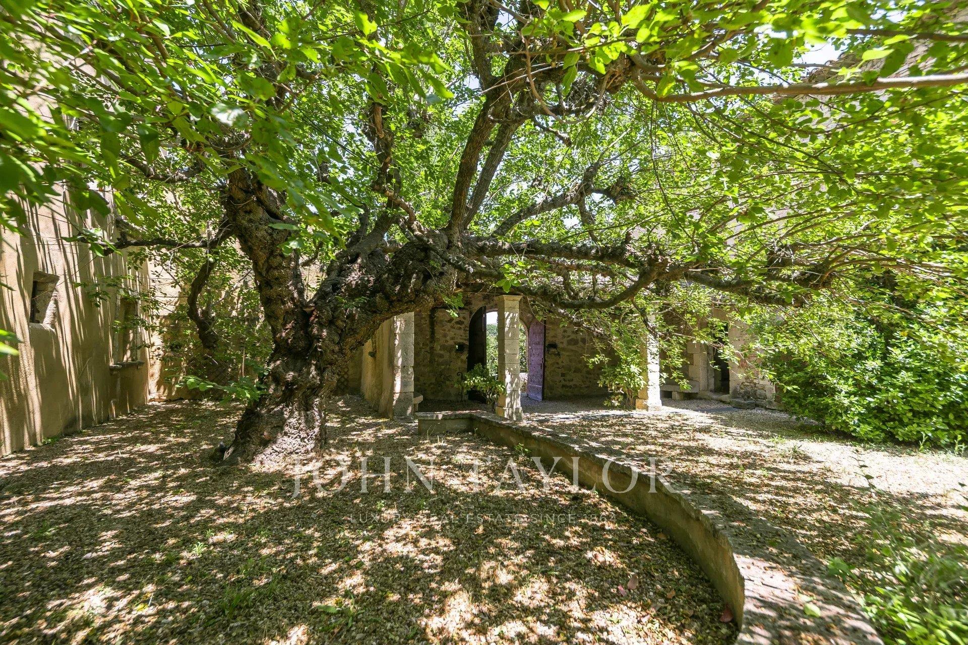 Bonnieux - Former Magnanerie to renovate