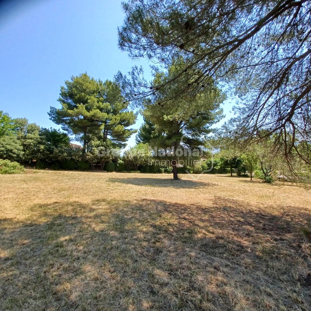 Purchase: Land (04220)