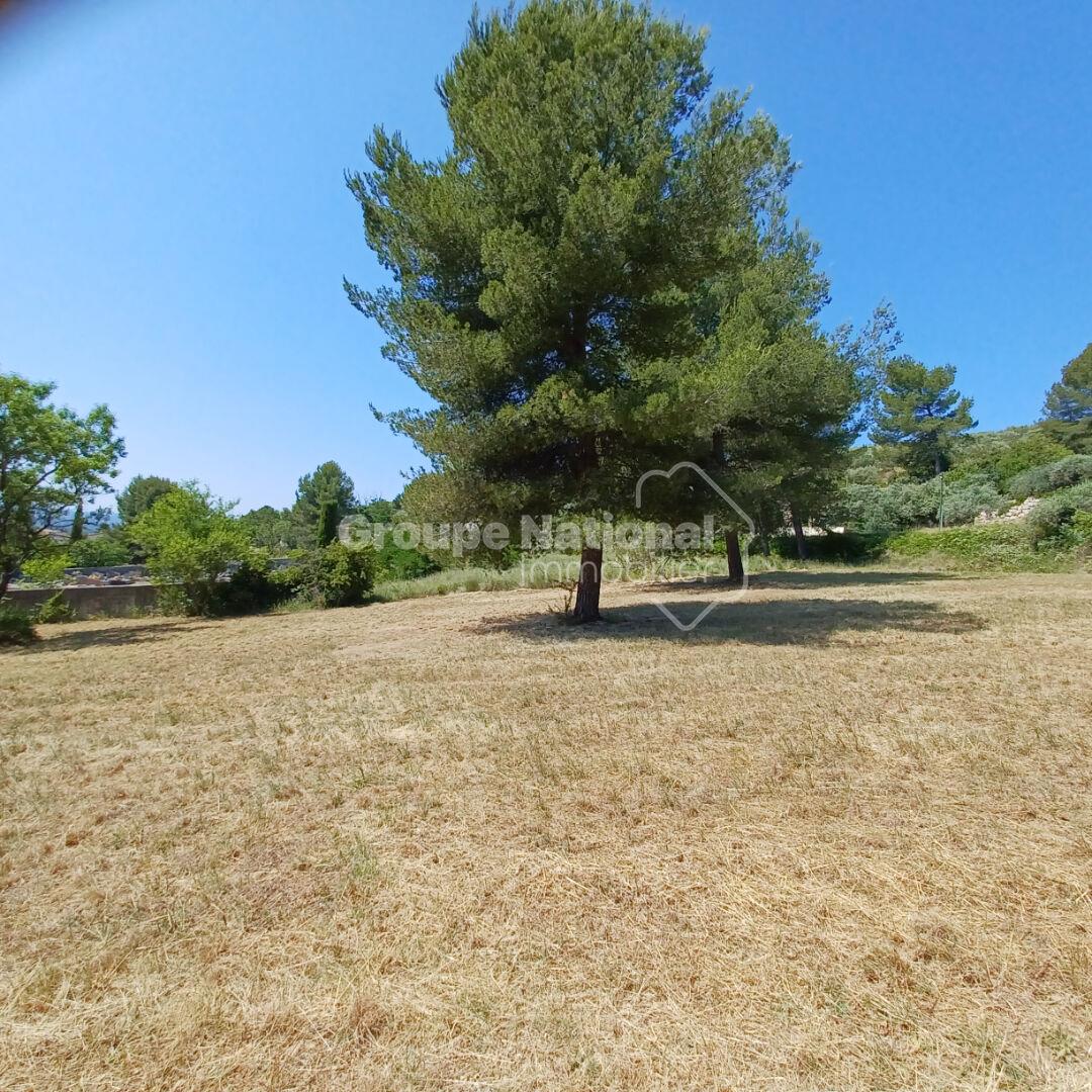 Purchase: Land (04220)