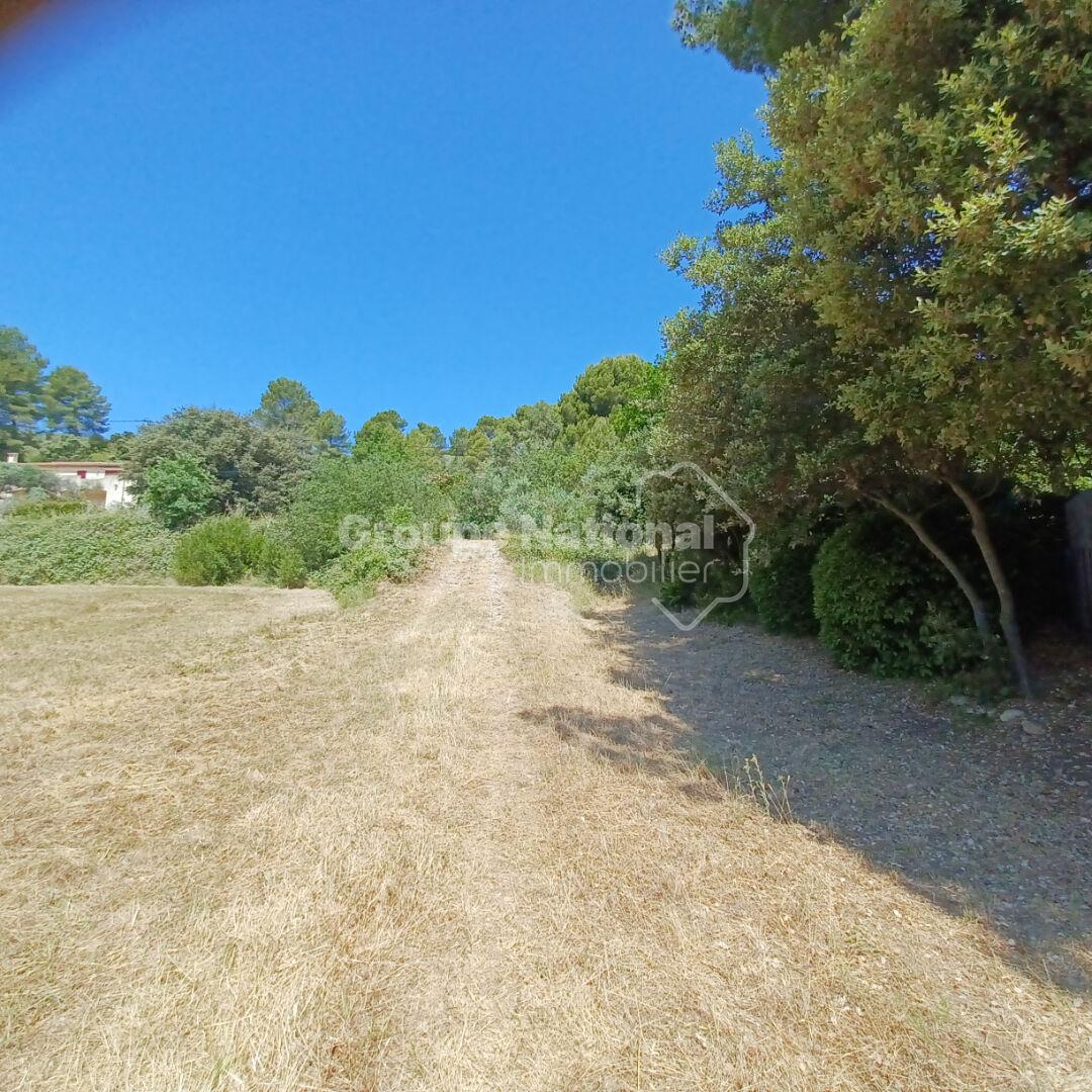 Purchase: Land (04220)