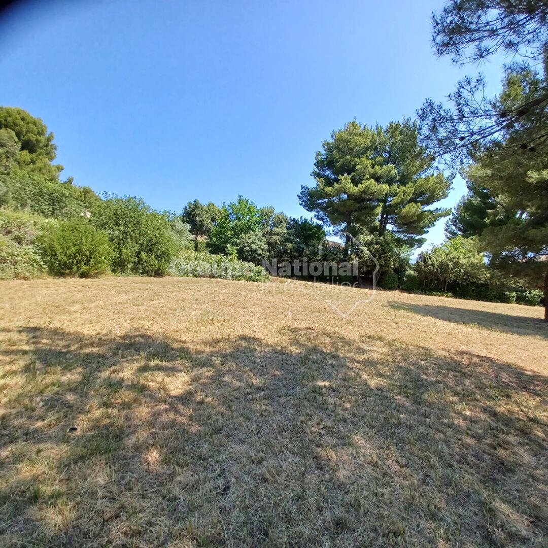 Purchase: Land (04220)