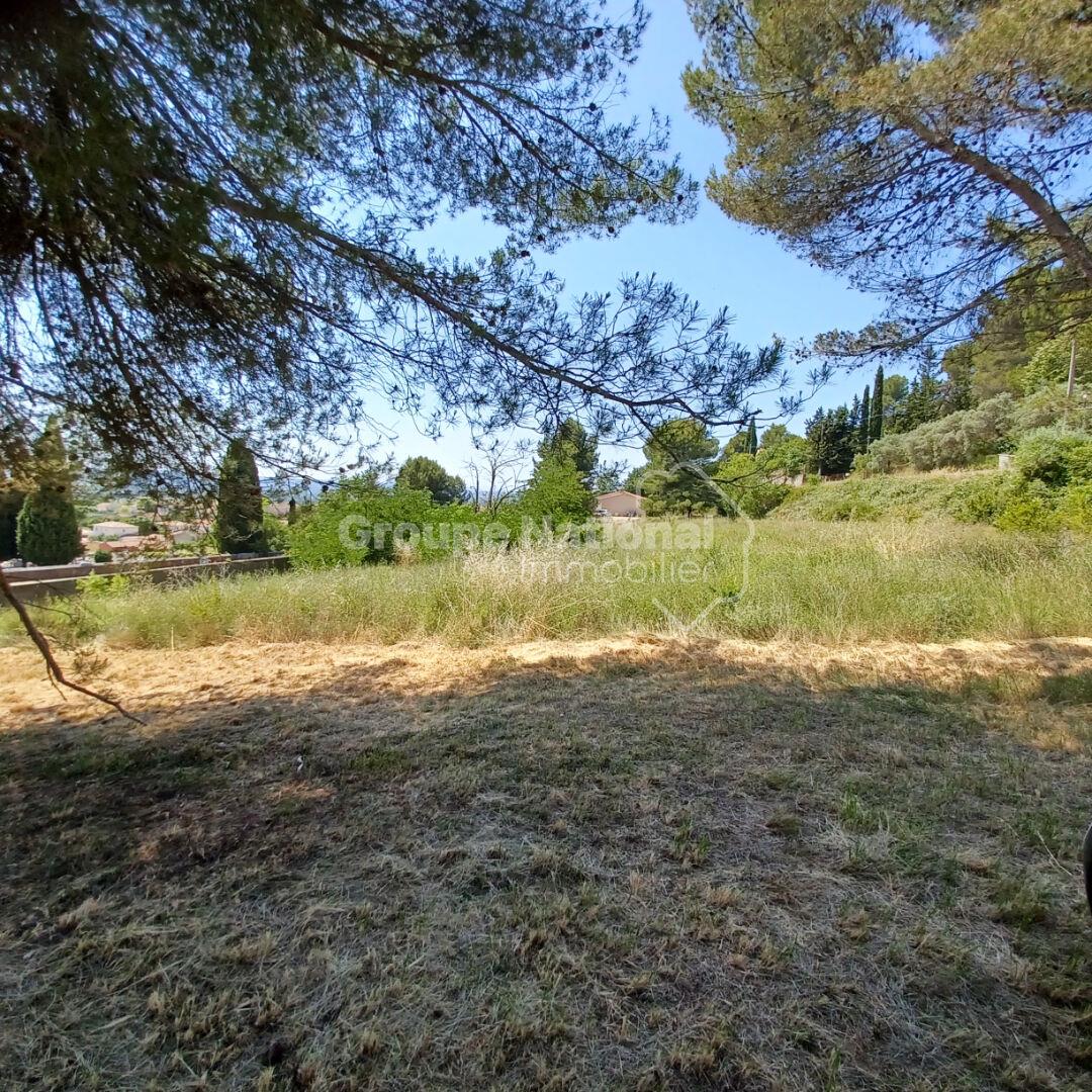 Purchase: Land (04220)