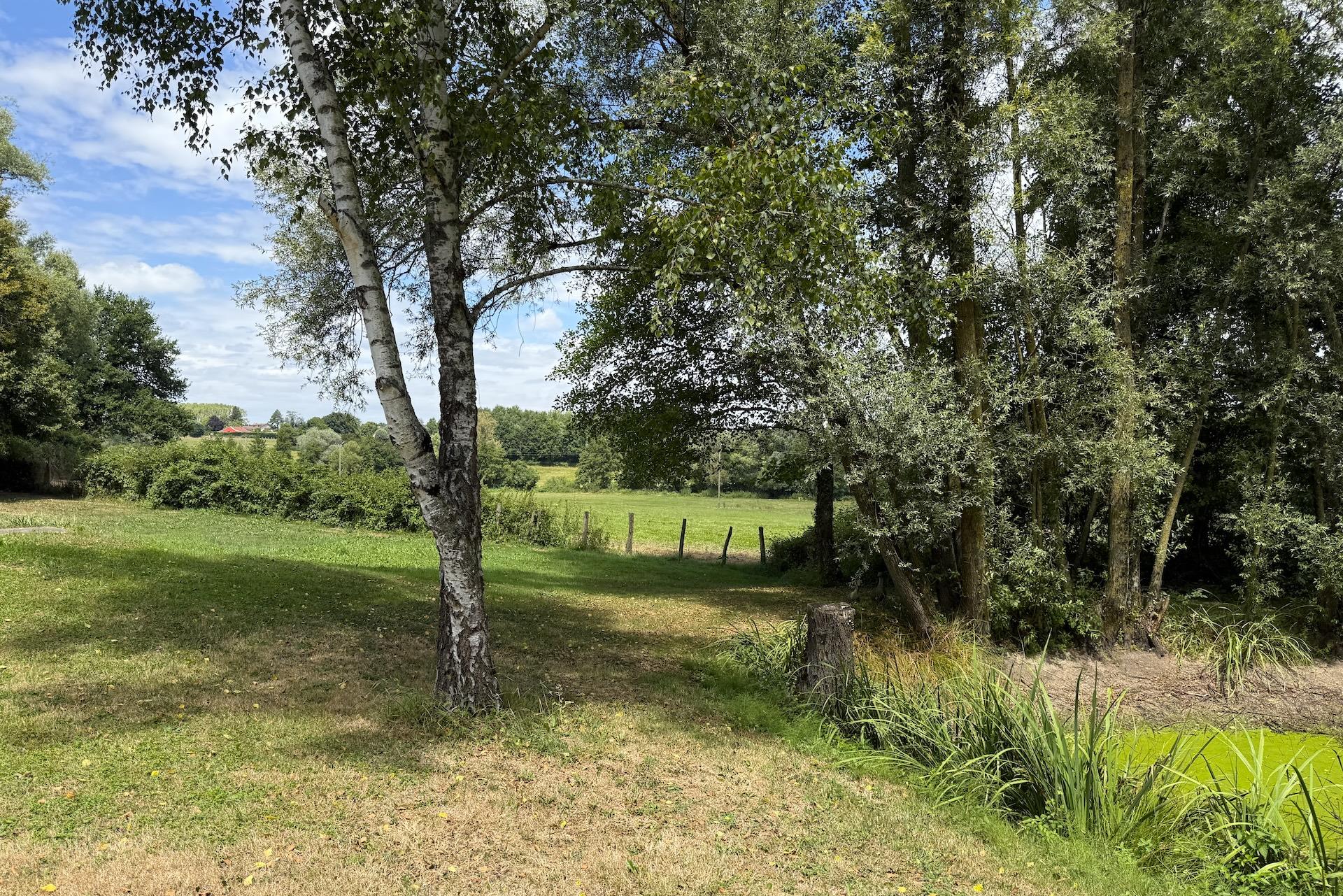 Renovated Farmhouse