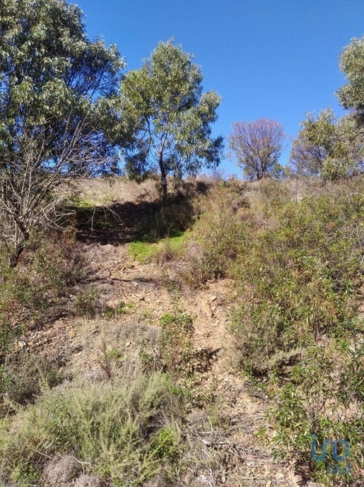 Terreno em Conceição e Cabanas de Tavira de 7880,00 m²