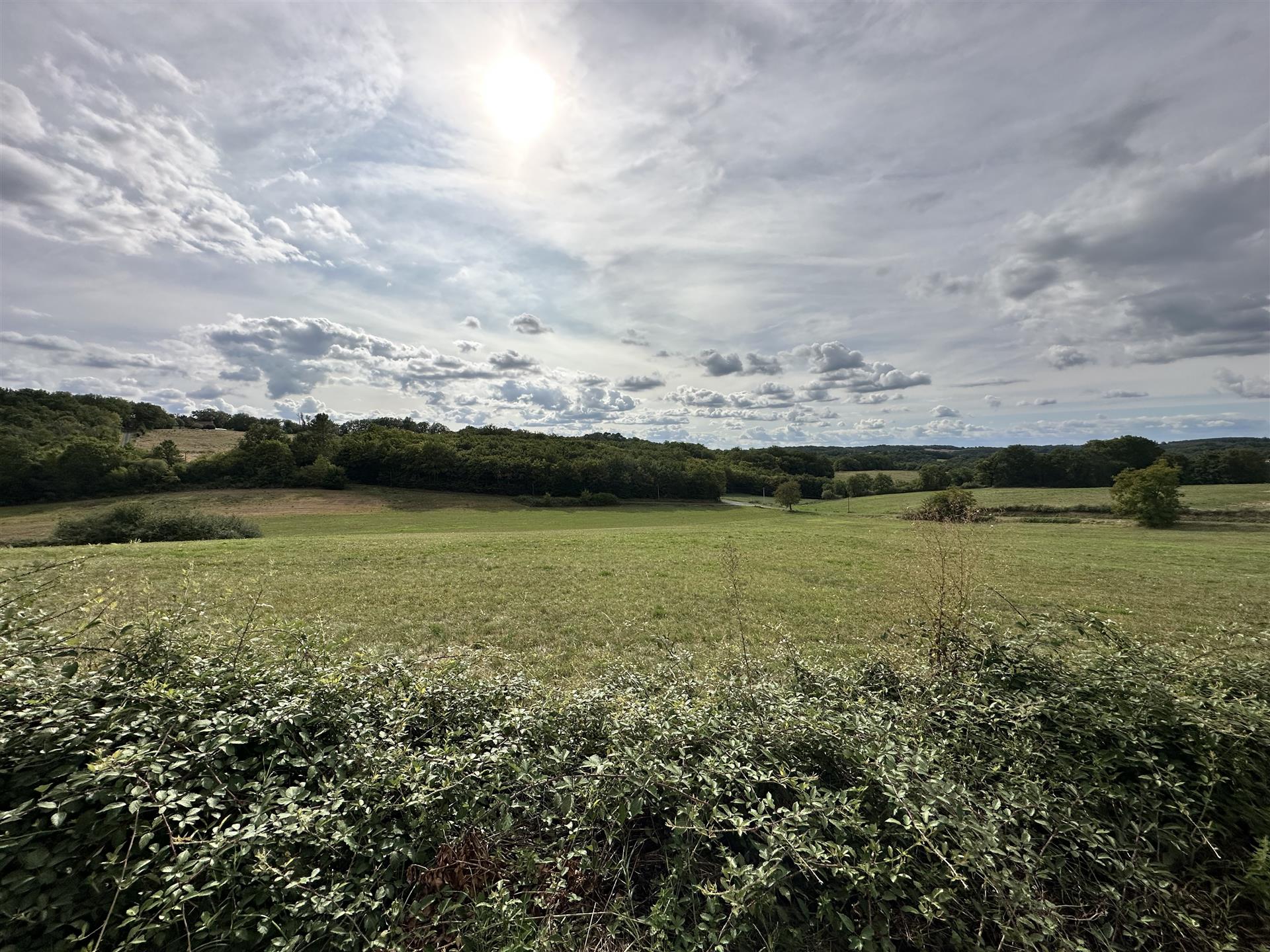 Land 2 hectare, waarvan 7.600 m2 bebouwbaar, in een uitzonderlijke omgeving