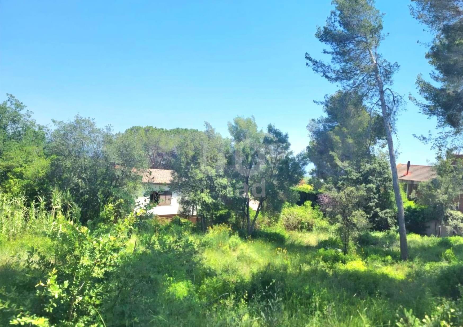 Plot - 1163.00 m2