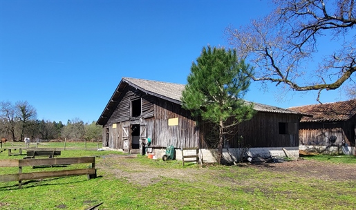 Authentische Landes auf Airial