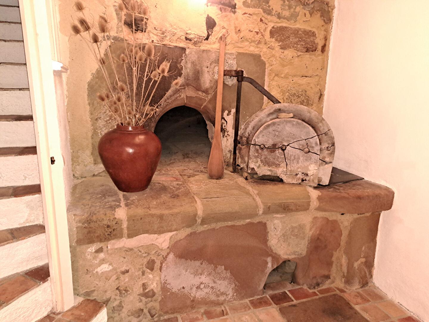 Village house with garden