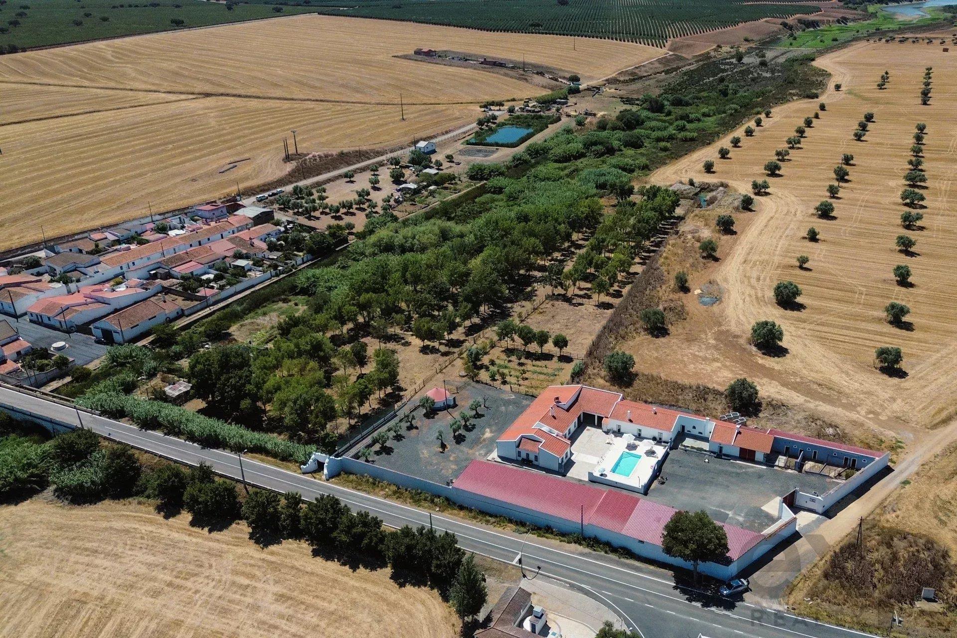 Luxury Equestrian Property