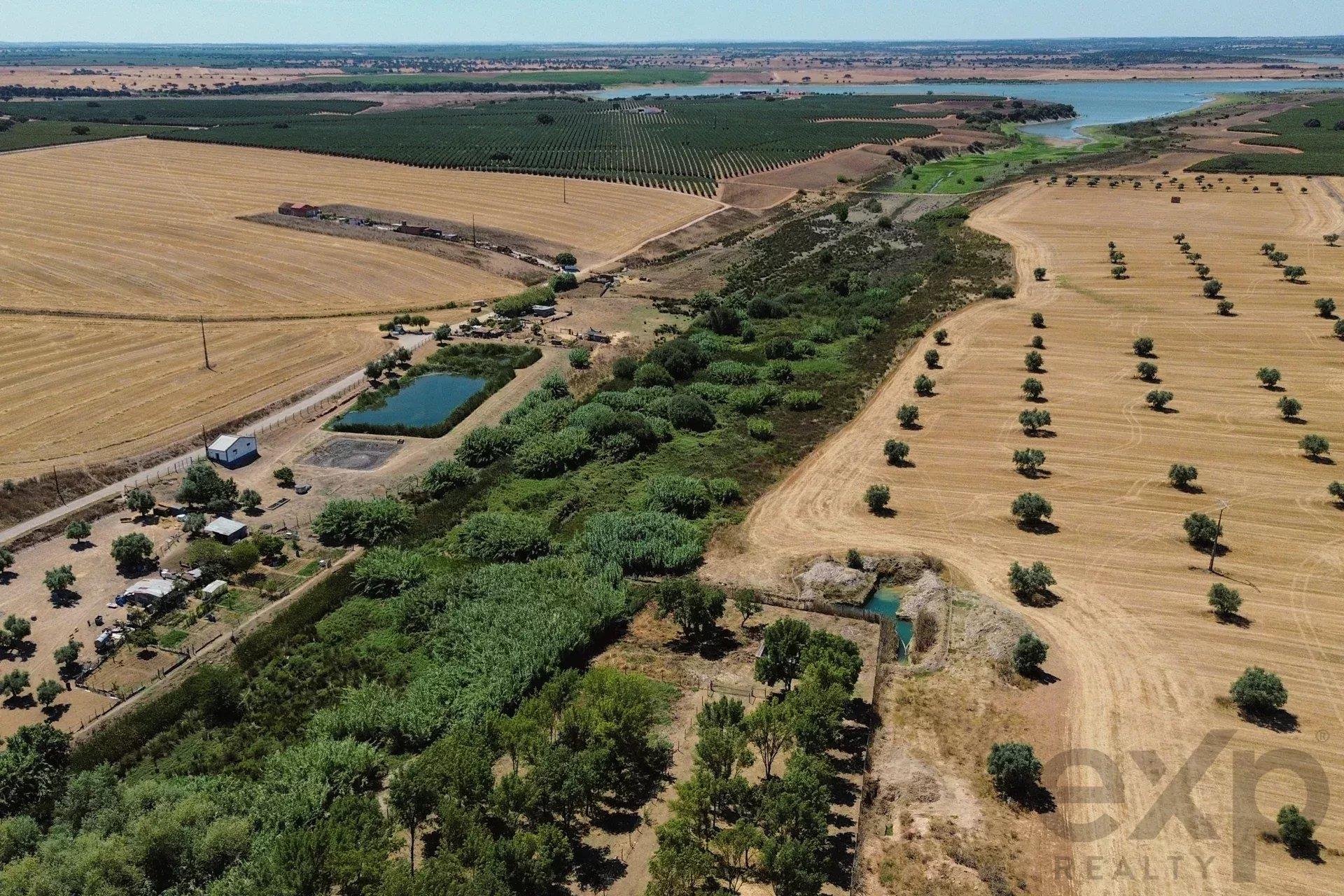 Luxury Equestrian Property