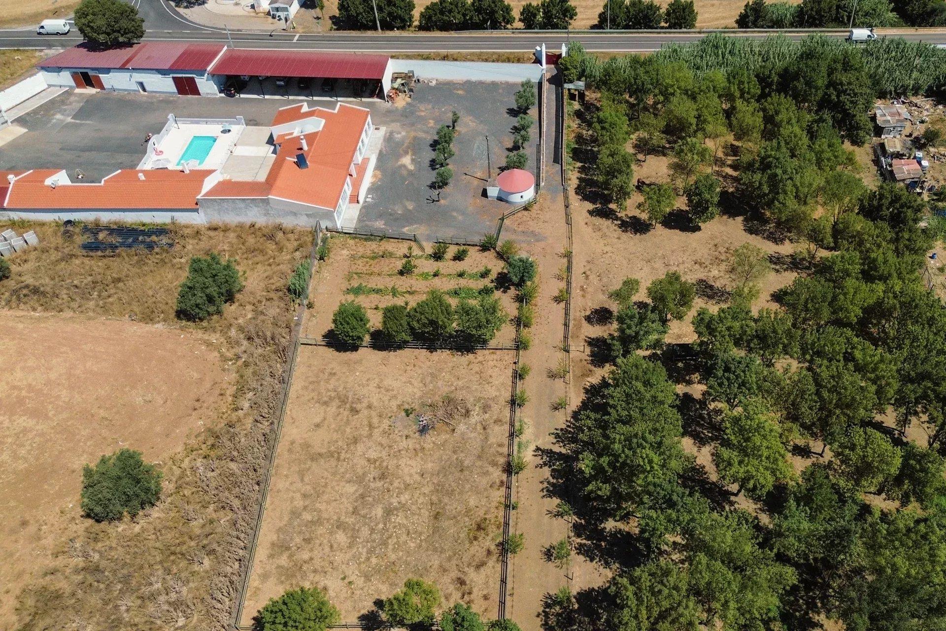 Luxury Equestrian Property
