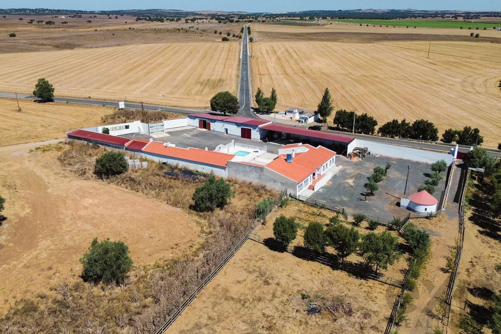 Luxury Equestrian Property